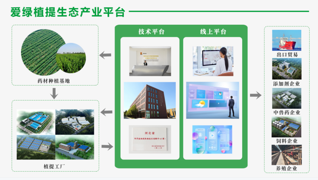 不朽情缘_首页官网入口