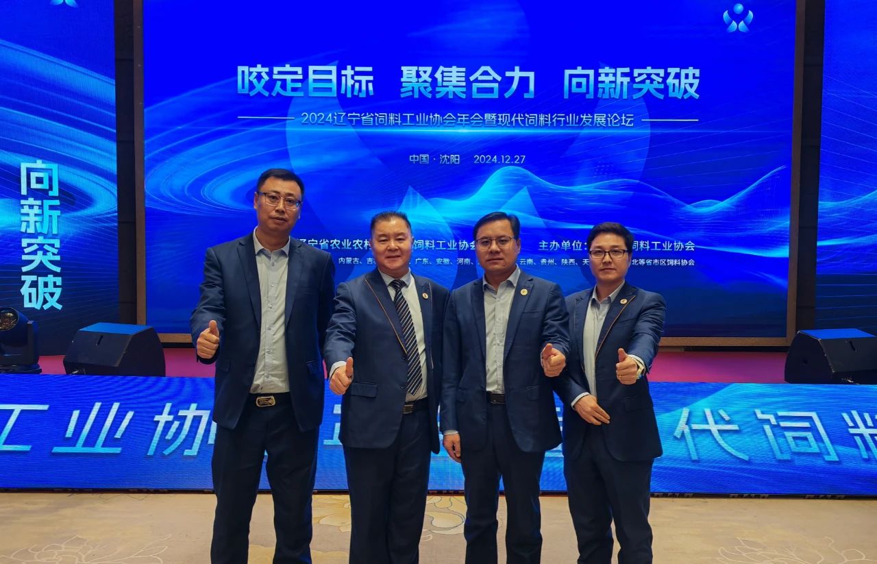 不朽情缘_首页官网入口